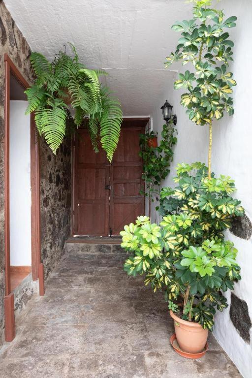 Casa Canaria Aceró Garachico  Exterior foto